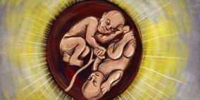 محمد سباعنة