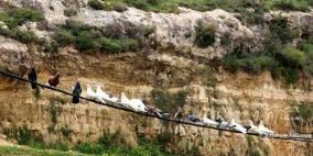 إضراب عن الطعام للشاعر  الدكتور المتوكل طه