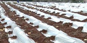 وزير الزراعة يتفقد أضرار المنخفض الجوي في جنين