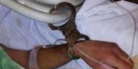 'نادي الأسير': حالة الأسير الجريح جلال نزال مستقرة