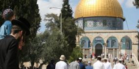 الخطيب لــ"رايــة": 32 متطرفا يقتحمون الاقصى