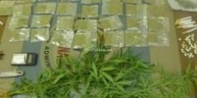 ضبط 13 كيلو غراما من مادة المارجوانا المخدرة في الخليل