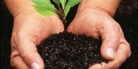 اجتماع اللجنة التحضيرية للاحتفال بيوم الشجرة في محافظة طولكرم