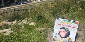 صور: 47 شتلة زيتون بأسماء شهداء القدس