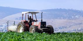 بالصور: جولة في الأغوار الفلسطينية - قرية الجفتلك