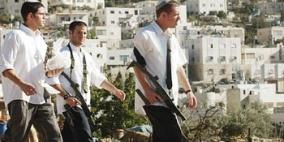 مستوطنون يستولون على بركة مياه زراعية في الخضر