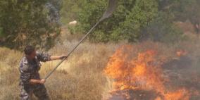 احتراق اشجار زيتون ولوز شمال الضفة