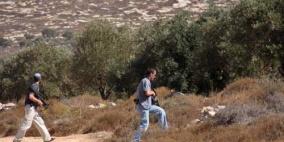 مستوطنون يهاجمون قاطفي الزيتون شرق نابلس