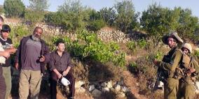 الاحتلال يخطر سبعة مواطنين بوقف البناء في شيوخ العروب