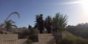 صيام لـ"رايــة": الاحتلال يستولي على أرض ملاصقة لأسوار الاقصى