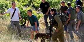 الخليل: اعتقال 3 مواطنين وإصابة شابين باعتداء مستوطنين وجنود الاحتلال