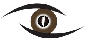 أريحا: ورشة عمل تناقش الرقابة الخارجية والداخلية في الوزارات