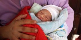 صور.. "سكين القدس" مولود جديد في غزة