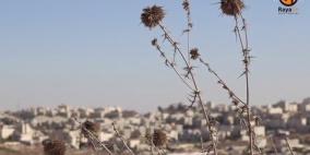 مكب "عطروت" يخنق بيت حنينا