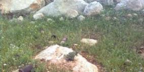 إتلاف جسم مشبوه في طوباس