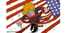 محمد سباعنة