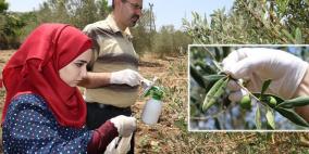 جامعة خضوري تفوز بجائزة الباحث العربي المتميز