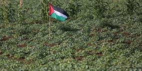 افتتاح  مهرجان الفقوس في بلدة دير بلوط