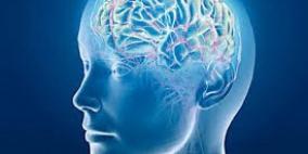 فى ضوء القران.... كيف يتركب المخ البشرى؟