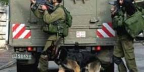 قوات الاحتلال تقتحم بلدتي عرابة ويعبد في جنين