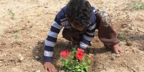 اطفال الشجاعية يزرعون الورود بين بيوتهم المُدمرة