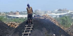 صناعة الفحم في قطاع غزة