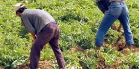 قلقيلية: اتحاد الفلاحين يعقد مؤتمره الأول وينتخب هيئة إدارية جديدة