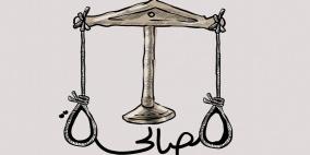 محمد سباعنة