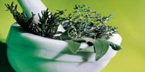 هنا خليلي: "نحن نمر عن العشبة وندوسها بأقدامنا دون الإهتمام بها"