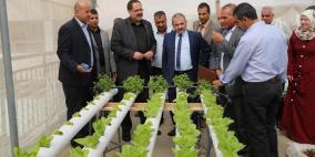 صيدم يفتتح مبادرة الأسطح الخضراء في مدرسة بنات العيزرية بضواحي القدس