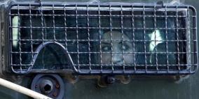 اسرى فلسطين: الاحتلال يتراجع عن إطلاق سراح الأسيرة سماهر زين الدين