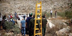 طولكرم: يوم تطوعي لمساعدة المزارعين بقطف الزيتون