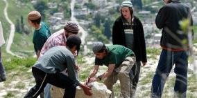 مستوطنون يشرعون بإقامة غرفة صغيرة جنوب بيت لحم