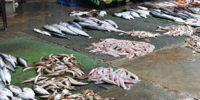 المنخفض يُنعش صيد الأسماك بغزة ويُخفض الأسعار