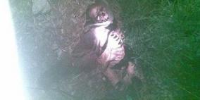 وحوش ضارية التهمت مواطنا غربي الخليل