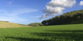 أهالي الروحة قرب أم الفحم يحذرون اسرائيل من انتفاضة عنيفة ثانية بالمنطقة