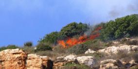 اشتعال النيران في نحو ألف دونم من أراضي بيت عوا