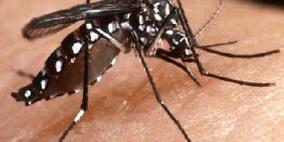 بعوضة النمر الاسيوي .. اماكن تواجدها وطرق الوقاية منها