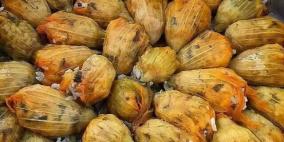 "نوار الكوسا" طبخة فلسطينية مفقودة