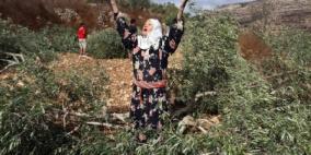 المستوطنون يواصلون الاعتداء على ممتلكات المواطنين