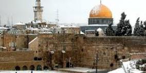 706 مثقف عربي يوقعون على عريضة "القدس عاصمة فلسطين الأبدية"