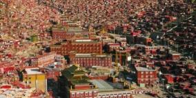 الصين تزرع غابات جديدة على مساحة واسعة لمواجهة تغير المناخ