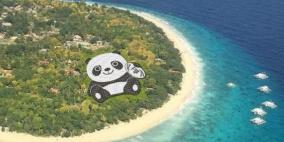 على شكل باندا: 250 فدان من مزارع الطاقة المتجددة