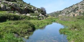 وادي قانا..جمال ملوث