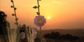 أجواء خماسينية وارتفاع درجات الحرارة الخميس والجمعة