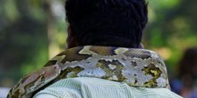 فيديو: ثعبان كاد يخنق مدربه أمام الجمهور