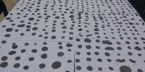 ضبط تمثال و 719 قطعة أثرية في جنين