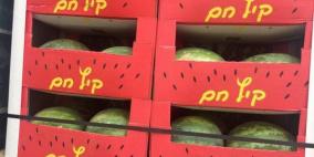  منع استيراد البطيخ من اسرائيل
