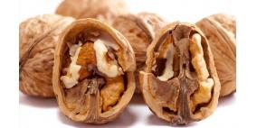 دراسة الجوز يقي من السرطان