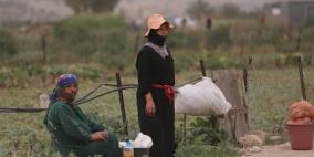 مهرجان الفقوس دير بلوط